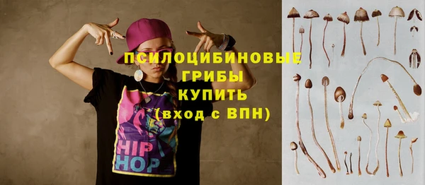 прущая мука Пересвет