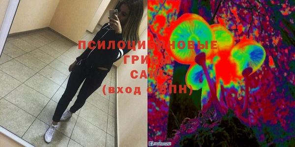 молекула духа Алзамай