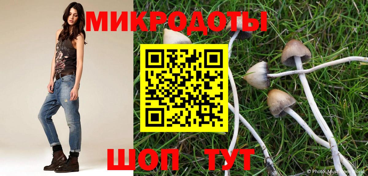 Галлюциногенные грибы прущие грибы  Вход с VPN  Старая Русса 