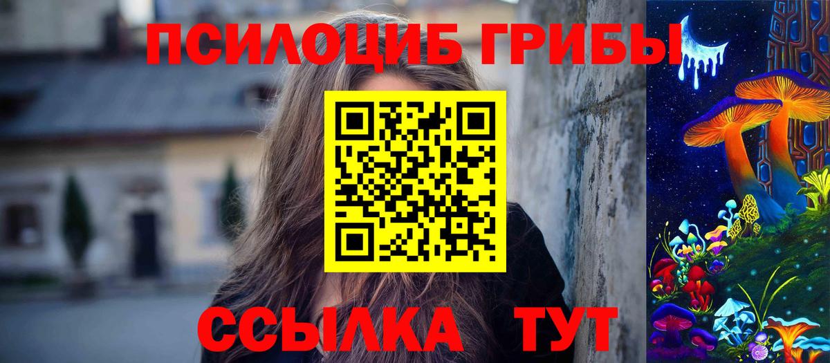 Галлюциногенные грибы Старая Русса